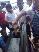 /album/fotogaleria/a10419427-617573745015767-4293754735349697803-n-jpg/